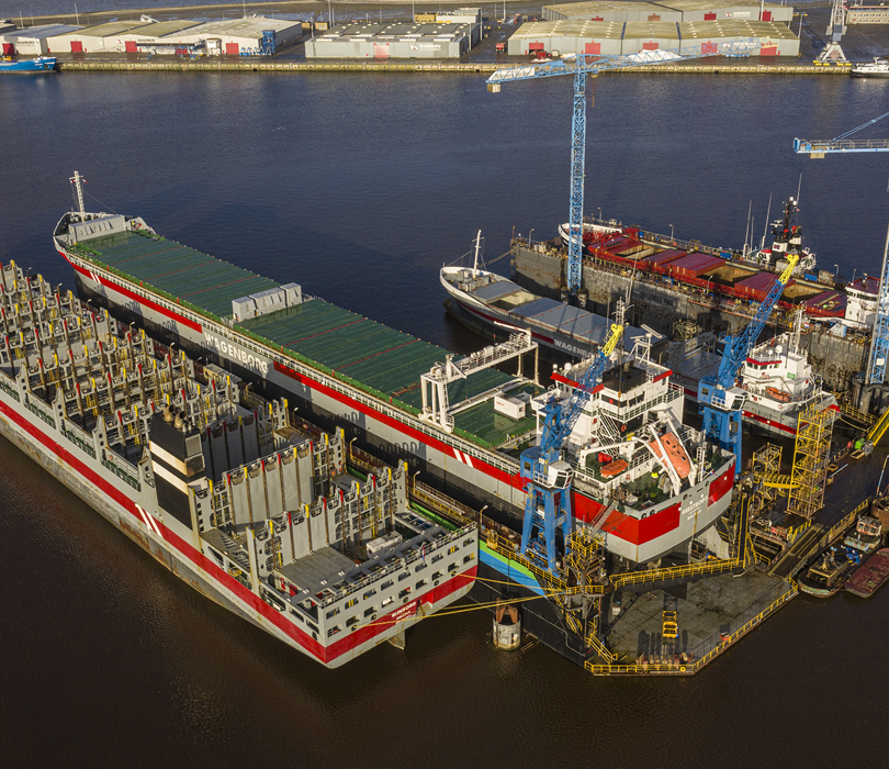 Dok Niestern Reparatie