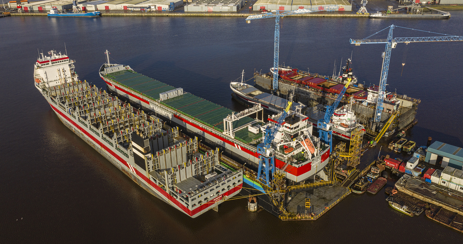 Dok Niestern Reparatie